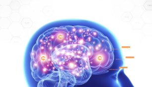 Neurocyclin – virker det – anmeldelser – forum